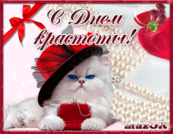Открытка С днём красоты - Открытка с котенком в шляпе | Красивая открытка #53