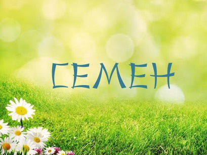 Открытка Открытки с именем Семен - Открытка с цветами: ромашки и зеленый фон | Красивая открытка #10