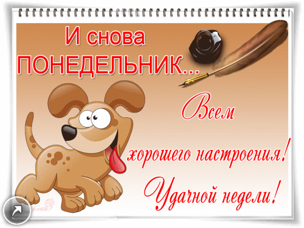 Открытка Открытки на понедельник - Открытка с собакой: Весёлая и яркая! | Красивая открытка #104