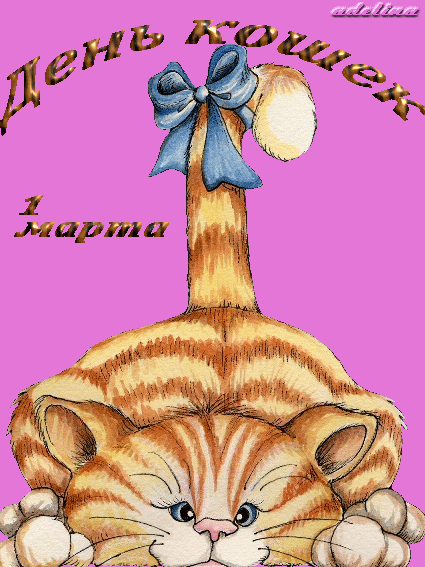 Открытка День Кошек - Рыжий кот с бантом: открытка с котенком | Красивая открытка #46