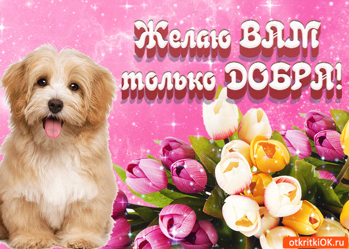 Открытка День доброты - Открытка с щенком и цветами | Красивая открытка #9
