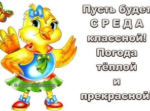 Открытка Открытки на среду - Открытка с цыплёнком в голубой форме и шапочке | Красивая открытка #122