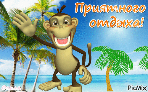 Открытка Открытки хорошего отдыха - Открытка с обезьяной на пляже: весёлый тропический фон | Красивая открытка #78