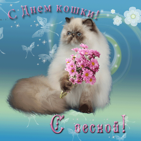Открытка День Кошек - Открытка с пушистым котиком и цветами | Красивая открытка #38