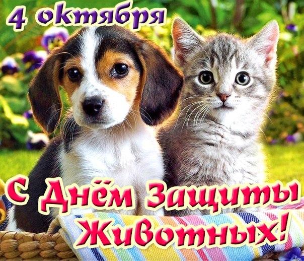 Открытка День защиты животных - Открытка с щенком и котенком  С Днём защиты животных! | Красивая открытка #16