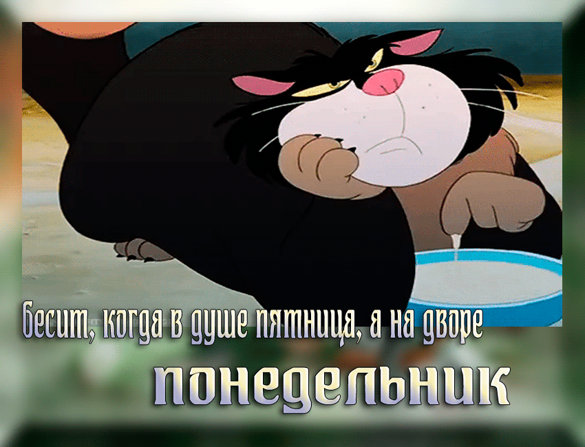 Открытка Открытки на понедельник - Котенок с блюдцем: забавная открытка с котиком | Красивая открытка #16