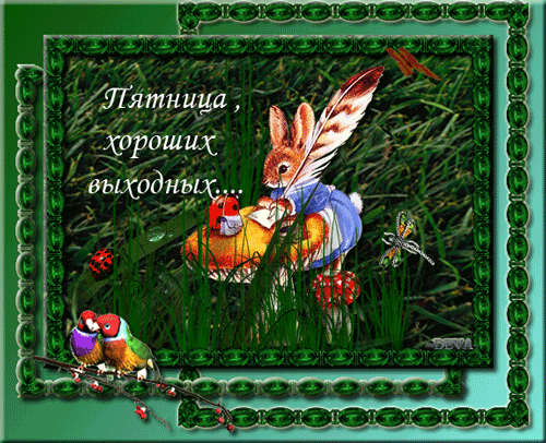 Открытка Открытки хороших выходных - Открытка: Заяц с пером и книгой в траве | Красивая открытка #258