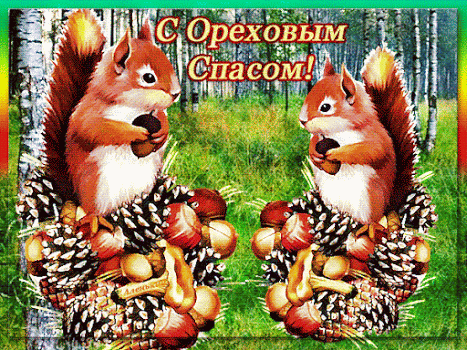 Открытка Ореховый спас - Открытка с белками и шишками: поздравления и пожелания | Красивая открытка #98