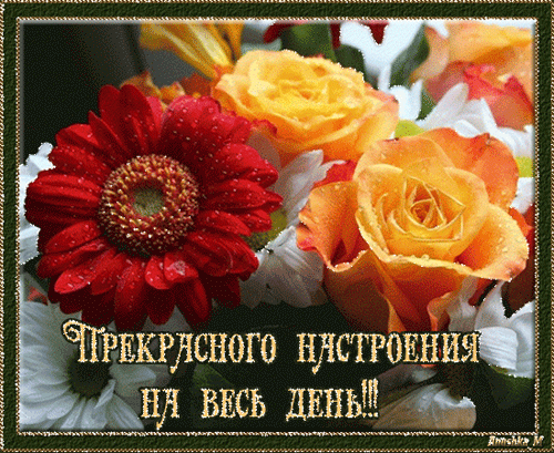 Открытка Открытки хорошего настроения - Красивые розы: красные, белые и оранжевые цветы | Красивая открытка #179