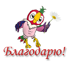 Открытка открытки с попугаем Кешей  - Яркая открытка с попугаем | Красивая открытка #7