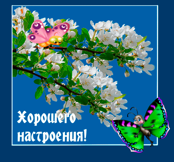 Открытка хорошего настроения - Цветущая вишня и бабочки: открытка с весенним настроением | Красивая открытка #37