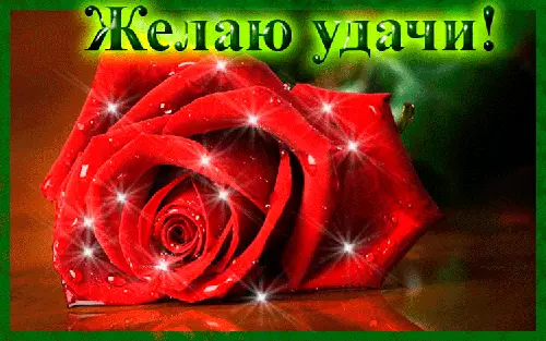 Открытка Открытки желаю удачи - Красная роза с блёстками на зелёном фоне | Красивая открытка #31