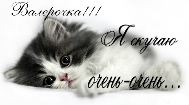 Открытка Открытки с именем Валерий - Открытка с милым котенком | Красивая открытка #144