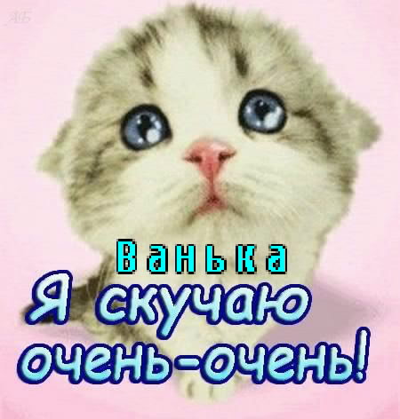 Открытка открытки с именем Иван - Котенок с большими глазами - открытка | Красивая открытка #25