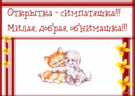 Открытка Обнимаю - Открытка с котятами: милые котята обнимаются | Красивая открытка #130