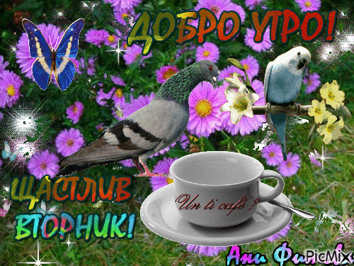 Открытка Открытки на вторник - Открытка с птицей и чашкой кофе | Красивая открытка #82