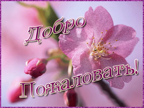 Открытка Добро пожаловать - Цветущая сакура: нежная открытка | Красивая открытка #43