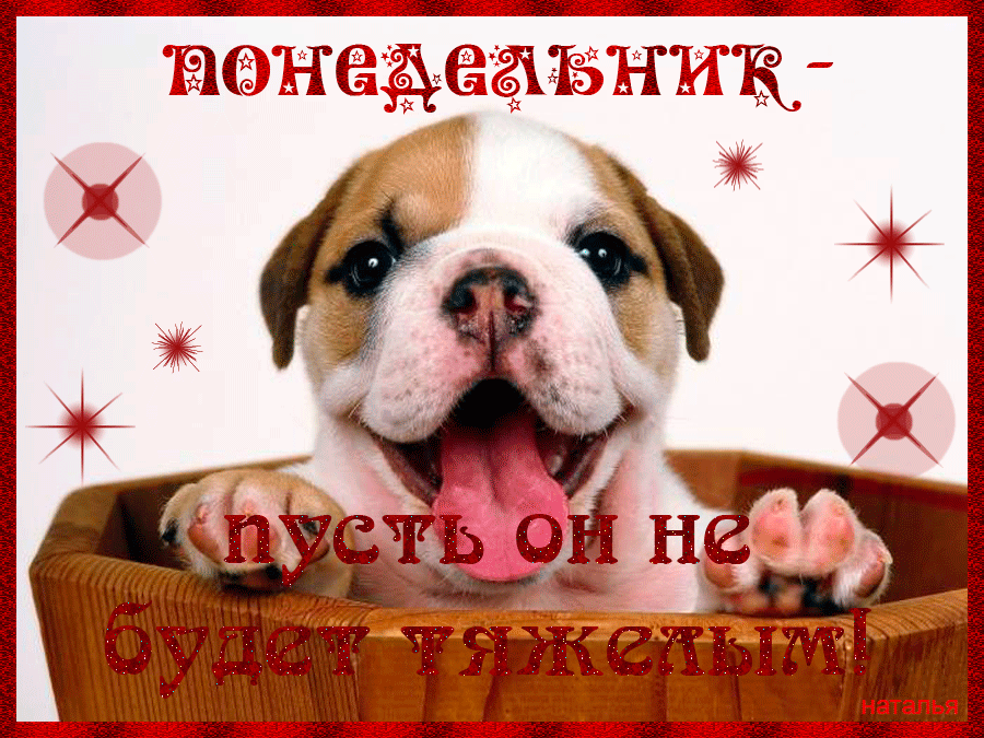 Открытка Открытки на понедельник - Собака на открытке с новогодними звездами | Красивая открытка #75