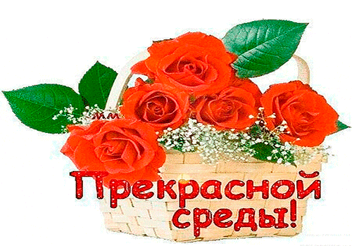 Открытка Со средой - Красивые красные розы в плетёной корзине | Красивая открытка #23