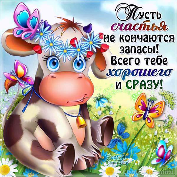 Открытка открытки с пожеланиями всего хорошего - Открытка с коровкой и цветами | Красивая открытка #3