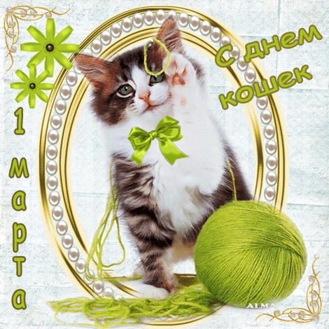 Открытка С Всемирным днём кошек - Открытка с котенком и клубком зелёной пряжи | Красивая открытка #39
