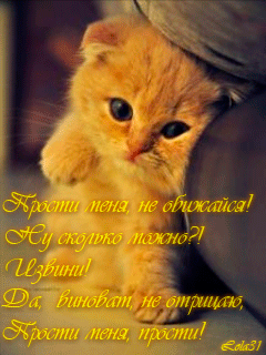 Открытка Прости - Милый котенок: Открытка с пушистым другом | Красивая открытка #155