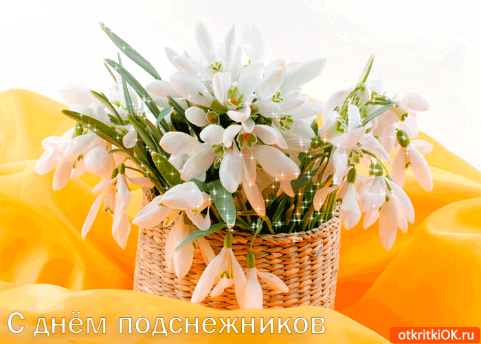 Открытка С днём подснежника - Открытка: Подснежники в плетёной корзине | Красивая открытка #20