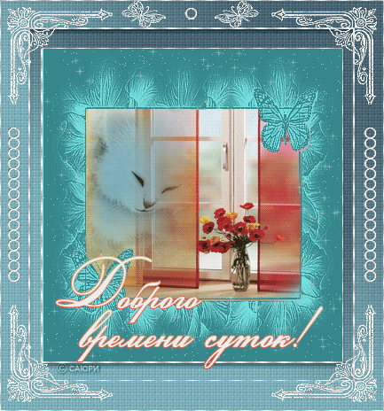 Открытка Доброго времени суток - Открытка: Цветы и кошка. С днем рождения! | Красивая открытка #4