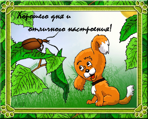 Открытка Открытки хорошего дня - Открытка с щенком и жуком на листе | Красивая открытка #74