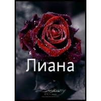 Открытка открытки с именем Лиана  - Открытка с красной розой, капли росы | Красивая открытка #12