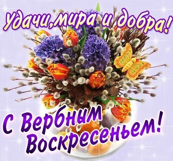 Открытка открытки с вербным воскресеньем  - Открытка с весенними цветами и веточками | Красивая открытка #1