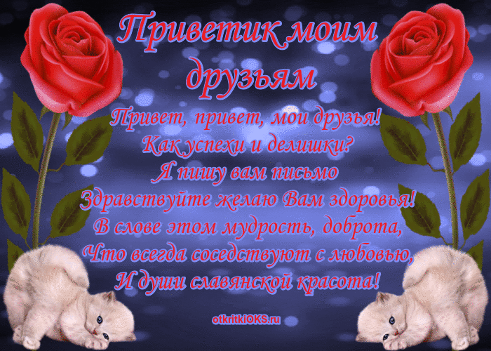 Открытка Привет - Открытка с котятами и розами | Красивая открытка #163