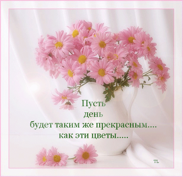 Открытка Открытки хорошего дня - Букет цветов в вазе: нежные розы для поздравлений | Красивая открытка #156