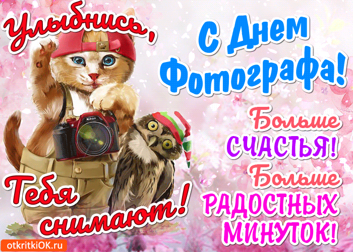 Открытка Открытки с днем фотографа - Открытка с днем фотографа: рыжий кот с фотоаппаратом | Красивая открытка #22
