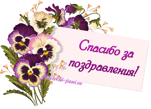 Открытка открытки с благодарностью  - Открытка с фиалками: поздравления | Красивая открытка #56