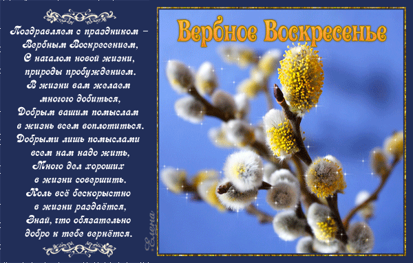 Открытка Вербное Воскресенье - Весенние вербы: открытки с цветением и пробуждением | Красивая открытка #269