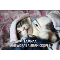 Открытка открытки с именем Тамила - Котенок с градусником: Открытка с милым питомцем | Красивая открытка #27