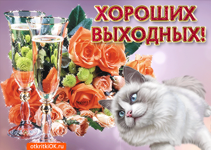 Открытка Открытки хороших выходных - Открытка с котенком, шампанским и розами | Красивая открытка #149