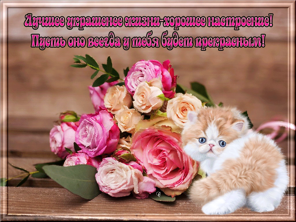 Открытка Открытки хорошего настроения - Цветы и котенок: нежная открытка с днем рождения | Красивая открытка #26