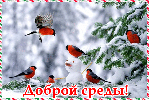Открытка Открытки на среду - Зимняя открытка: снегири и снеговик | Красивая открытка #12