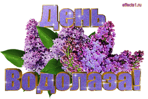 Открытка Открытки с днем водолаза - Открытка с цветущей сиренью | Красивая открытка #15