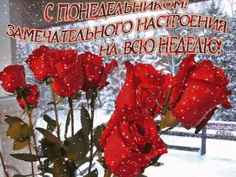 Открытка Открытки на понедельник - Красные розы на фоне снега - Новогодняя открытка | Красивая открытка #81