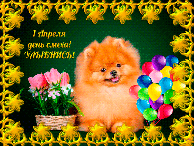 Открытка Открытки с 1 апреля - Собака с тюльпанами и шарами - Открытка с 1 апреля | Красивая открытка #82