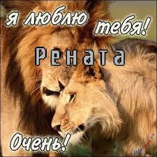 Открытка открытки с именем Рената - Открытка с львами: нежность и любовь | Красивая открытка #25