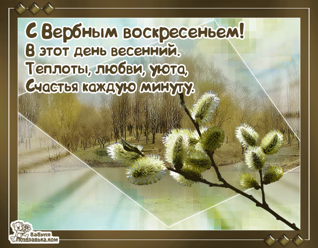 Открытка С вербным воскресеньем - Верба: весенняя открытка с пушистыми почками | Красивая открытка #240