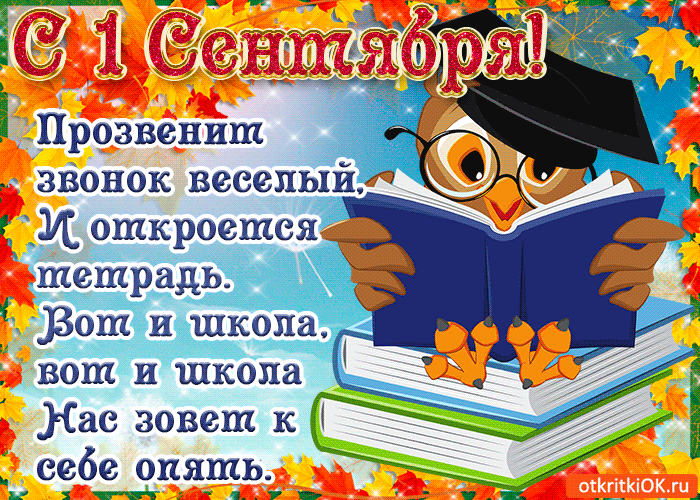 Открытка День знаний - Открытка с совой и книгами на День знаний | Красивая открытка #37
