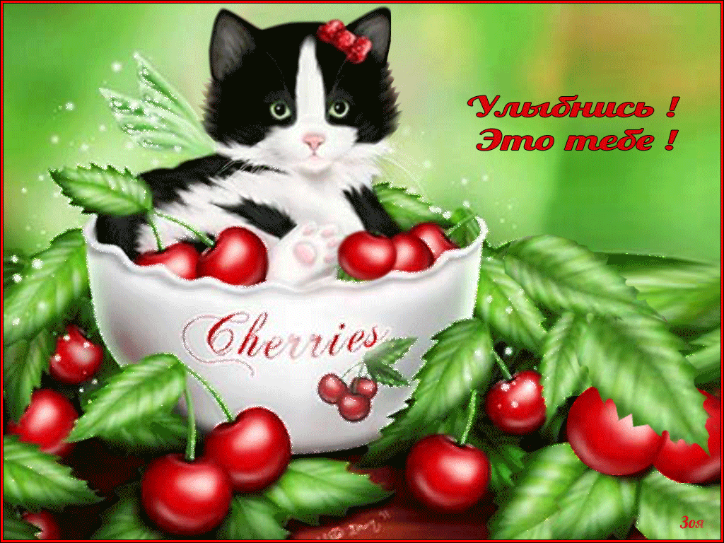Открытка Для тебя - Открытка с котенком и вишней | Красивая открытка #256