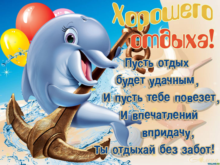 Открытка открытки с пожеланиями хорошего отпуска  - Открытка с дельфином: поздравления и хорошее настроение | Красивая открытка #4