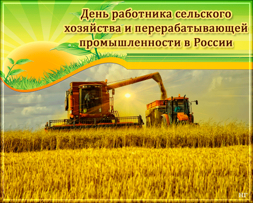 Открытка Открытки на день работников сельского хозяйства и перерабатывающей промышленности  - Урожайная открытка: комбайны на поле - С Днём работника сельского хозяйства | Красивая открытка #14