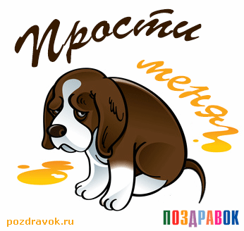 Открытка Прости - Забавная открытка с щенком: милый пес, поздравления | Красивая открытка #153